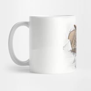 Ripped Shirt Squirrel - funny squirrel lover  Mug